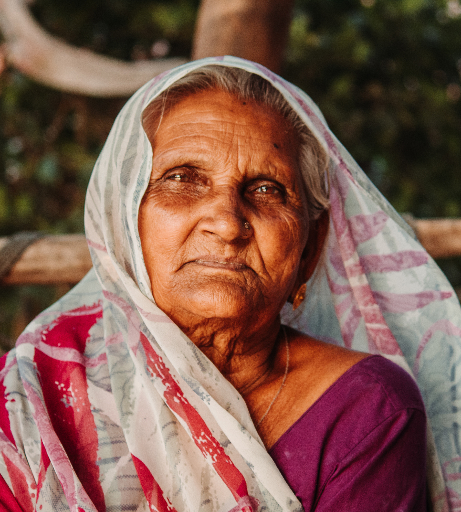 Closeup portrait of an old Indian woman wearing saree